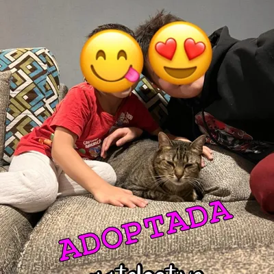 Kira - Adoptada
