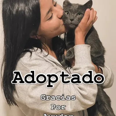 Adoptado - Gracias por ayudar