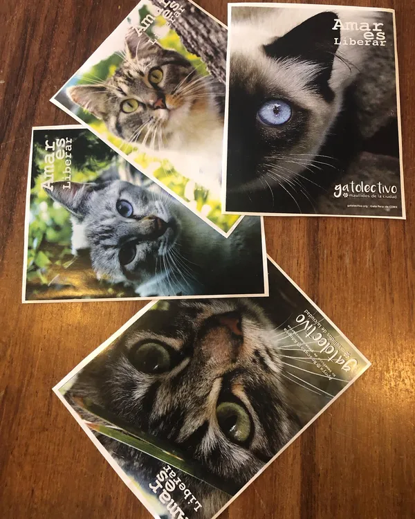 Postales Amar es Liberar - Gatolectivo