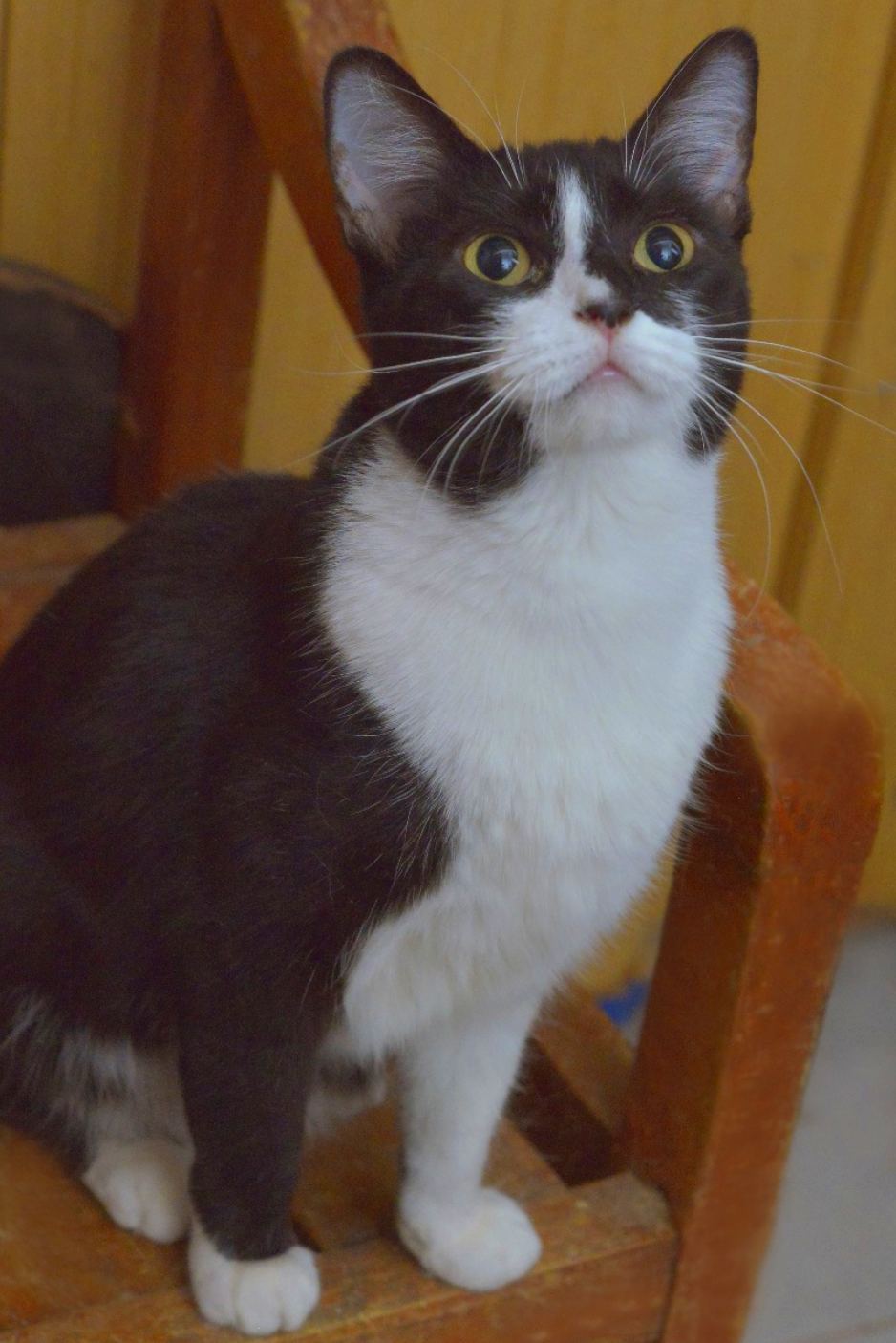 Yuma - Foto 1