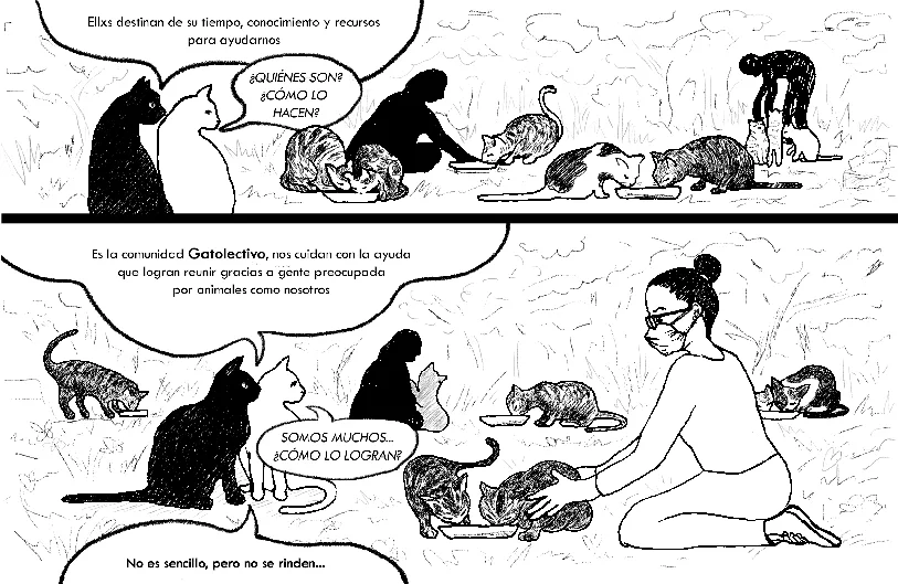Personas cuidando colonias ferales