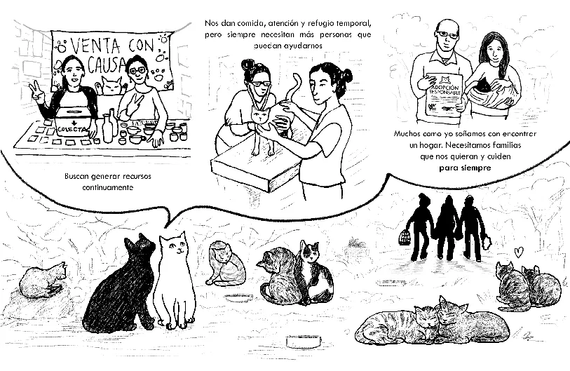 Comunidad en acción - artículos con causa y adopción