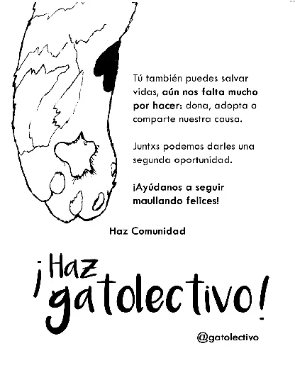 Tú también puedes salvar vidas - ¡Haz Gatolectivo!