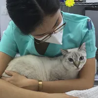 MVZ Lucía Zapote Lima